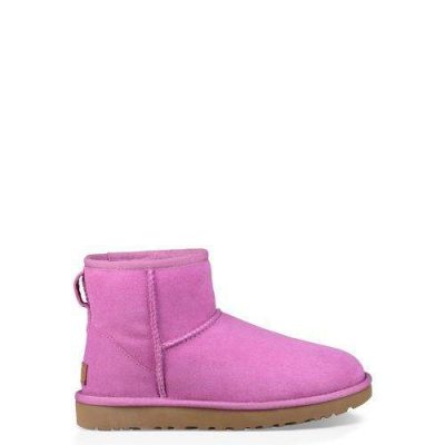 UGG Classic Mini II Laarzen voor Dames in Bodacious, maat 38 | Shearling