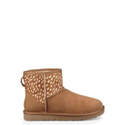 UGG Classic Mini Idyllwild Laarzen voor Dames in Chestnut, maat 41 | Shearling