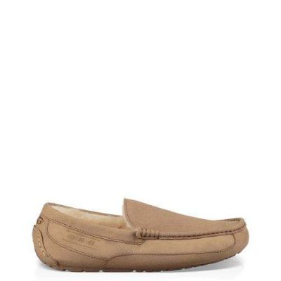 UGG Ascot 40:40:40 Pantoffels voor Heren in Sand, maat 43 | Suede