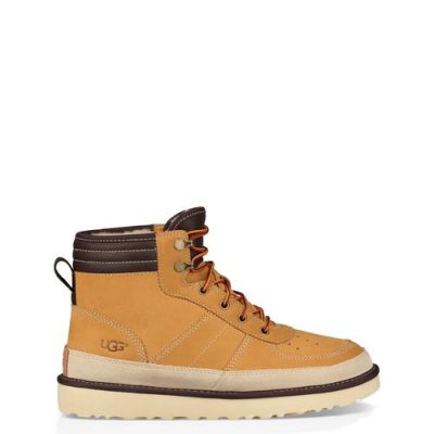 UGG Highland Sport Classic Laarzen voor Heren in Wheat, maat 48.5 | Leder