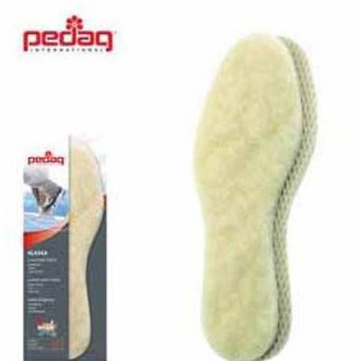Pedag Alaska
