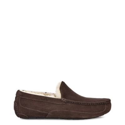 UGG Ascot Pantoffels voor Heren in Espresso, maat 43 | Suede