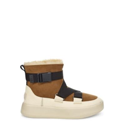 UGG Classic Boom Buckle Laarzen voor Dames in Chestnut, maat 37 | Shearling