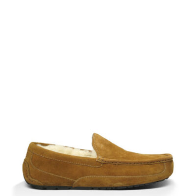 UGG Ascot - Suede voor Heren in Chestnut, maat 49.5